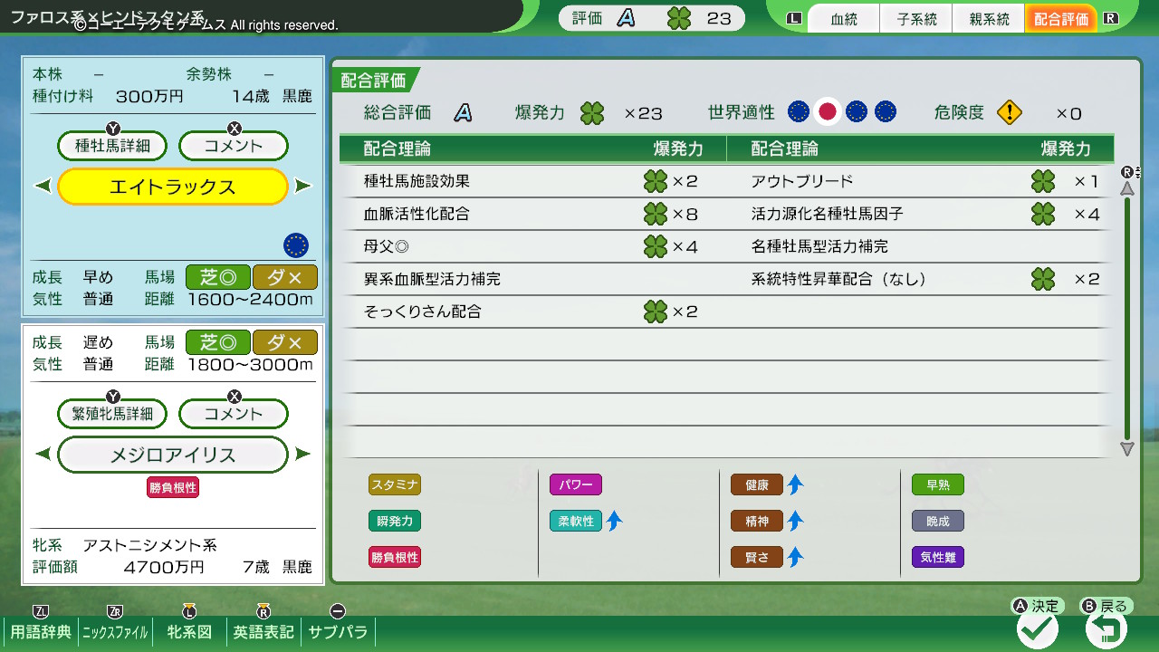 配合評価・爆発力