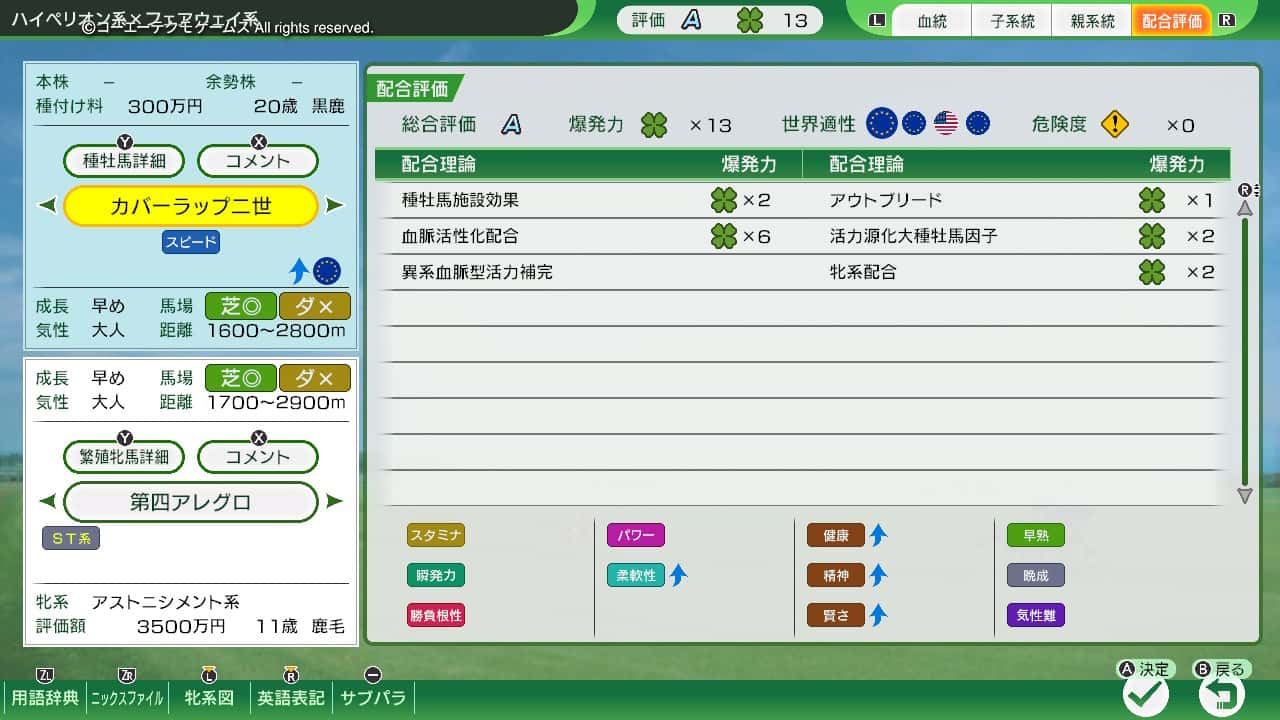 配合評価・爆発力