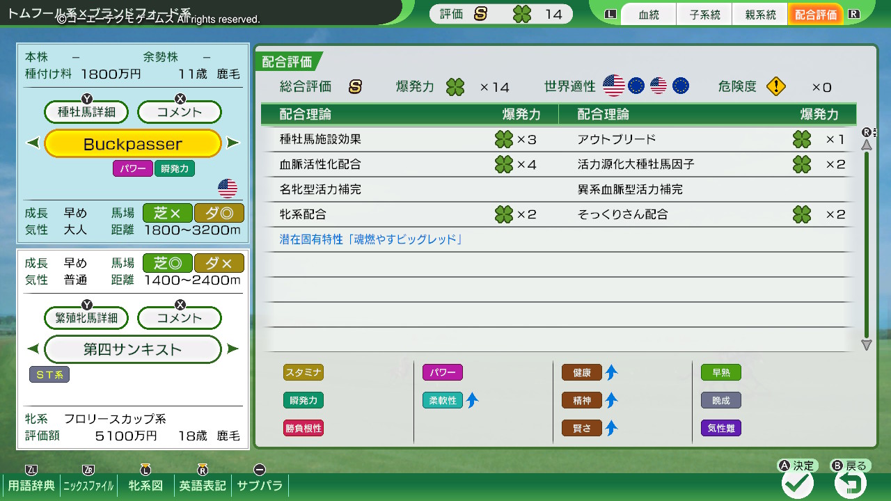 配合評価・爆発力